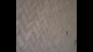Fucking lil teen